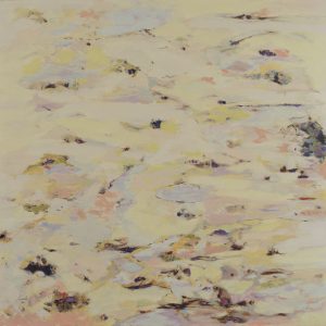 Senza Titolo, Serie Paesaggi